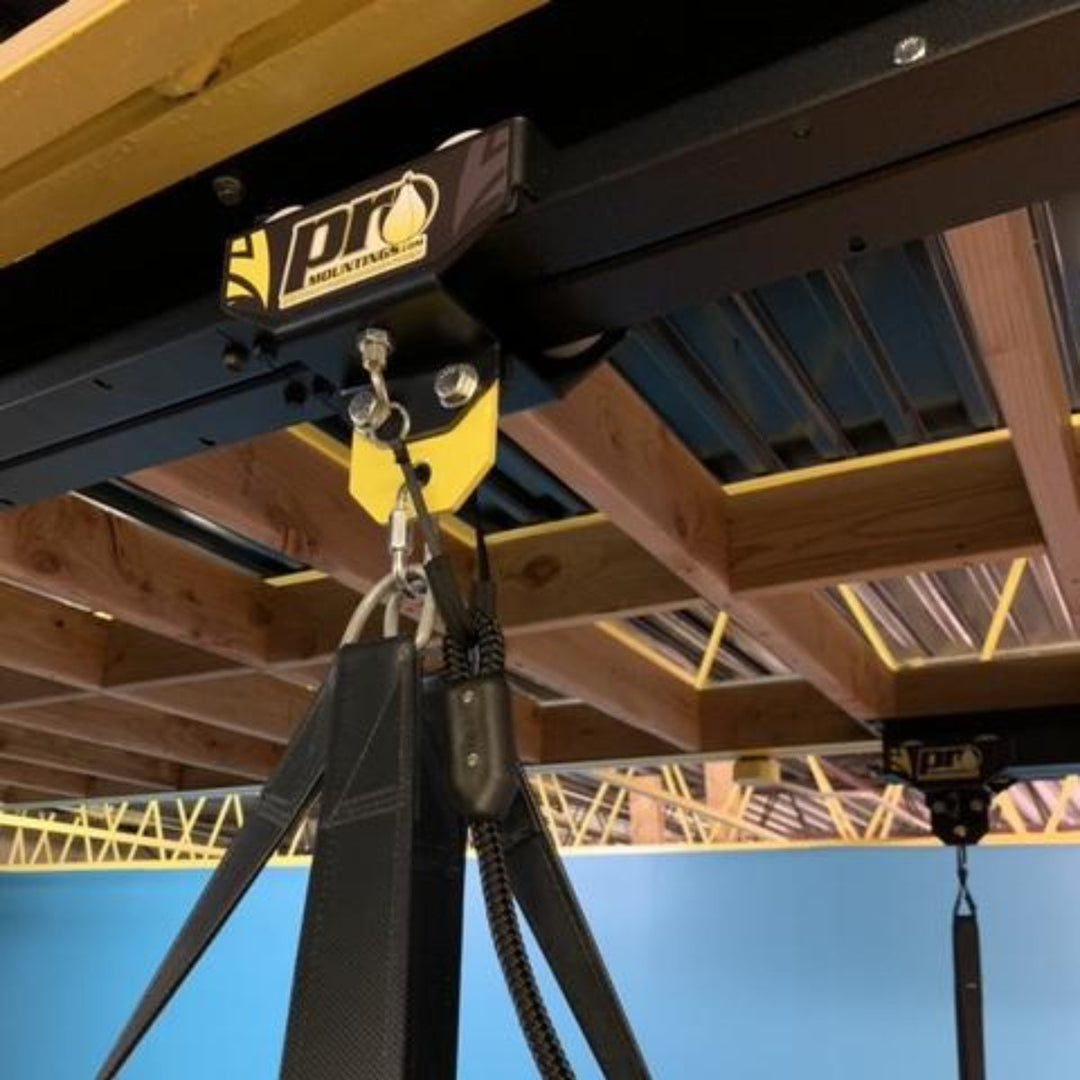 Pro Mountings Spring Plunger Roller Mount