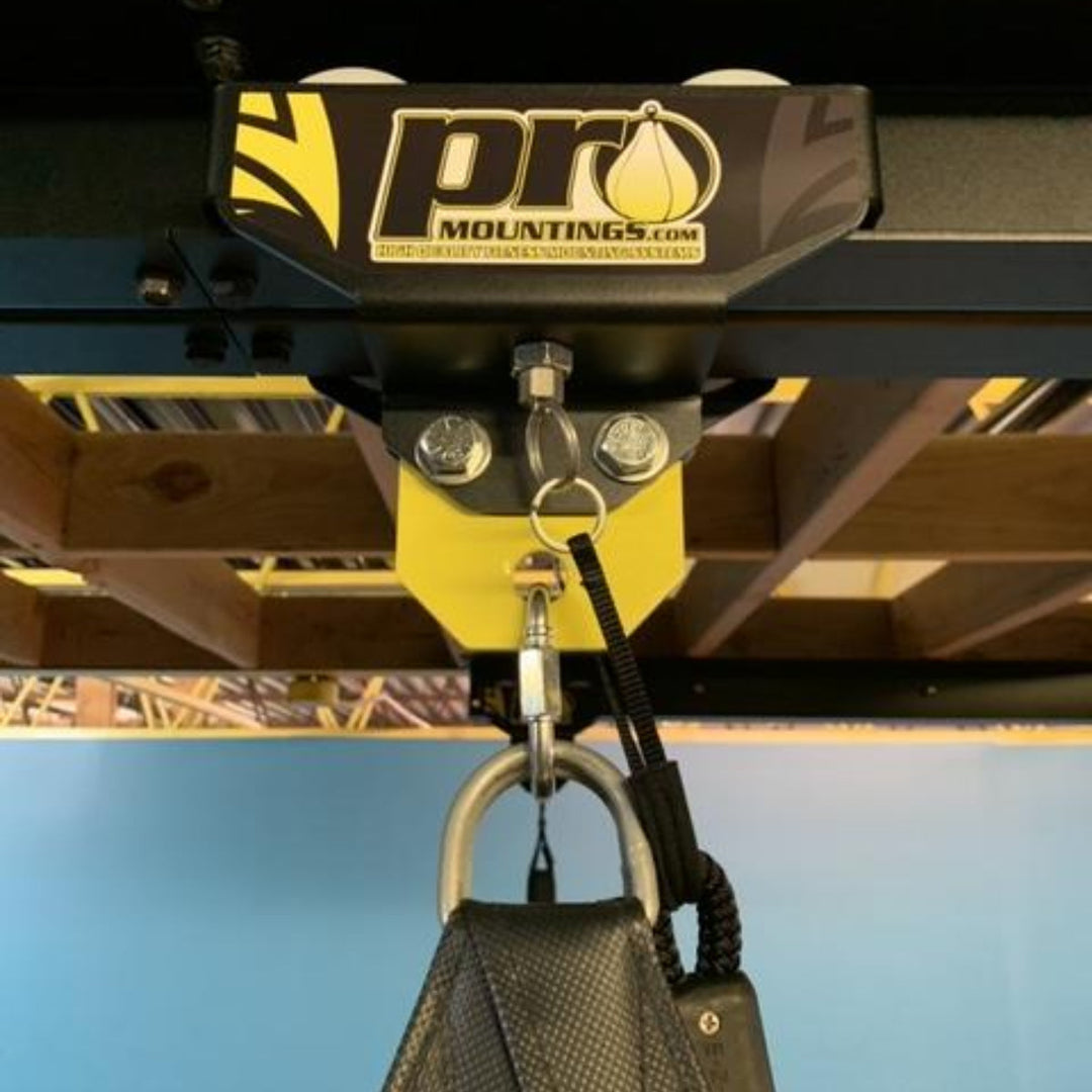 Pro Mountings Spring Plunger Roller Mount